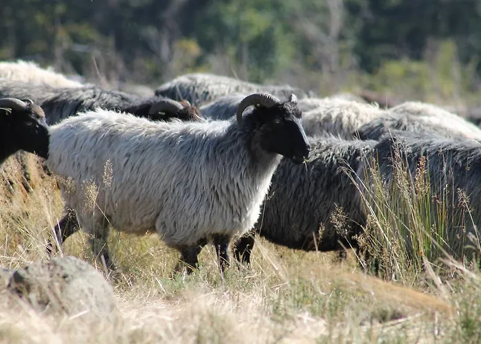 Haus Dupont Villa Winterberg